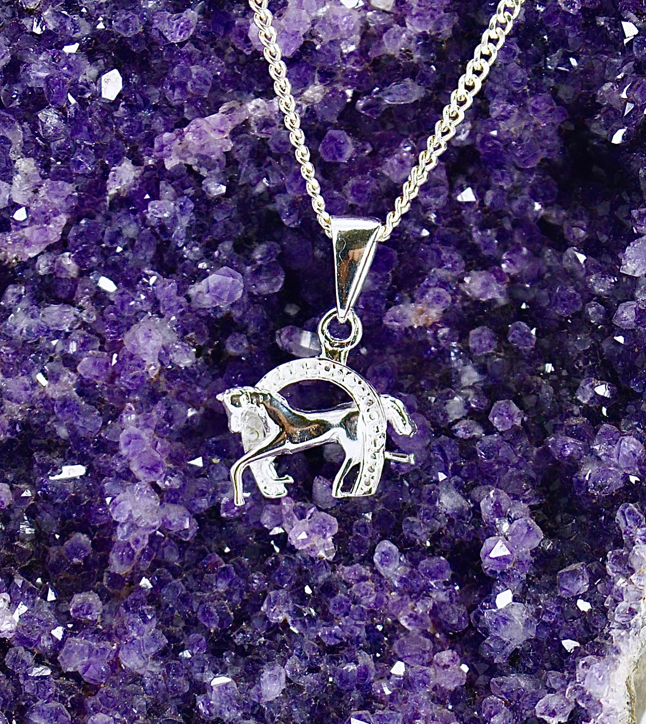 HORSE & HORSESHOE Pendant