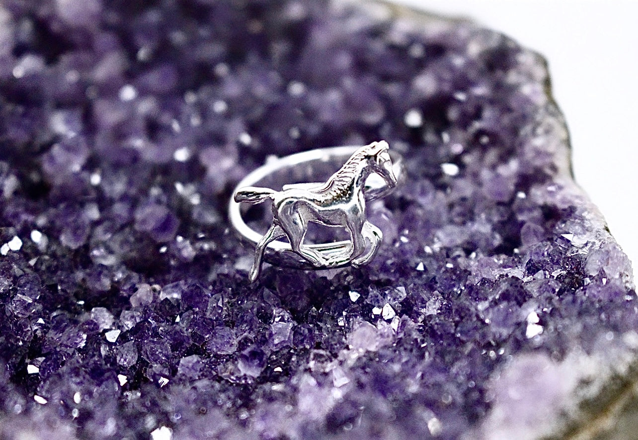 HORSE Ring