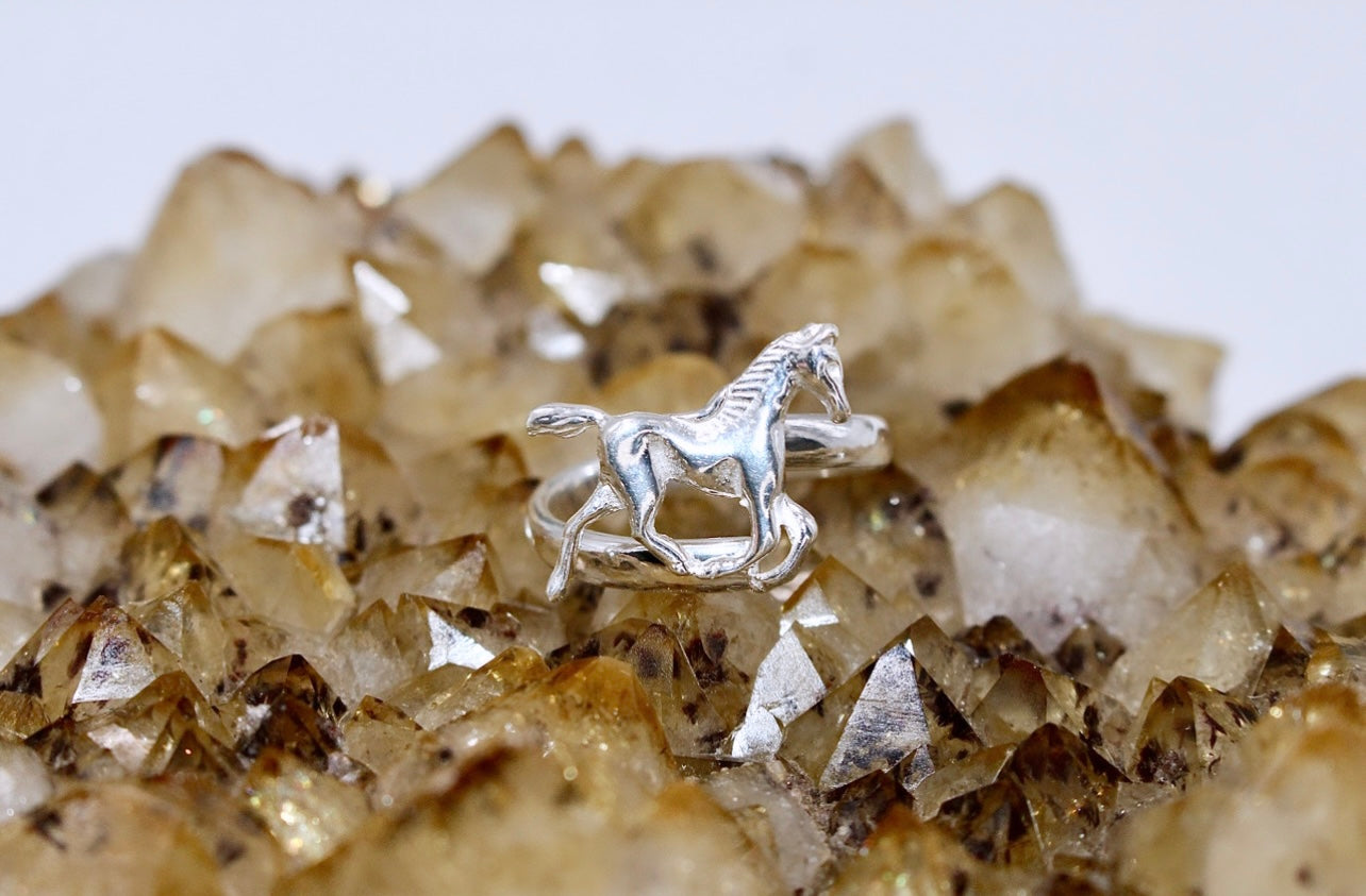 HORSE Ring