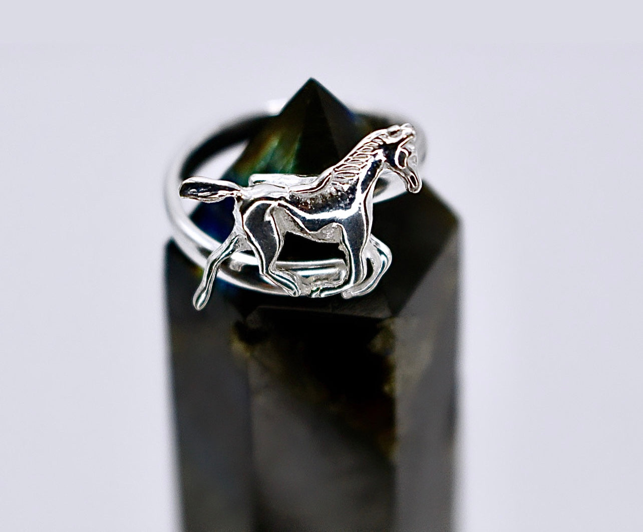 HORSE Ring